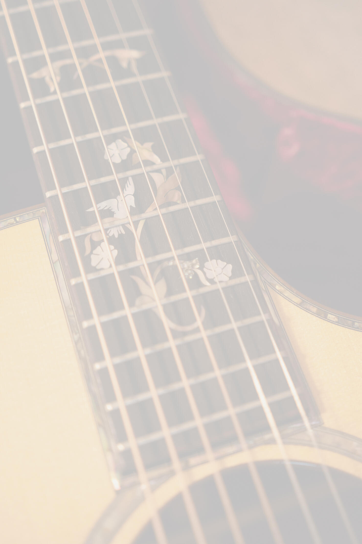 Guitars Taylor 914c Alvarez-Yairi DYM75 Alvarez-Yairi AYL-1 Córdoba GK Studio Limited Ovation AA 51 Fender Telecaster Fender Stratocaster Schecter Model-T Session Bass